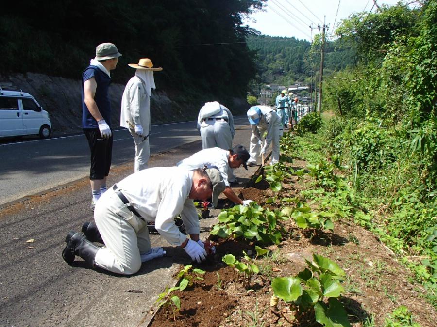 2018植栽ボランティア 1