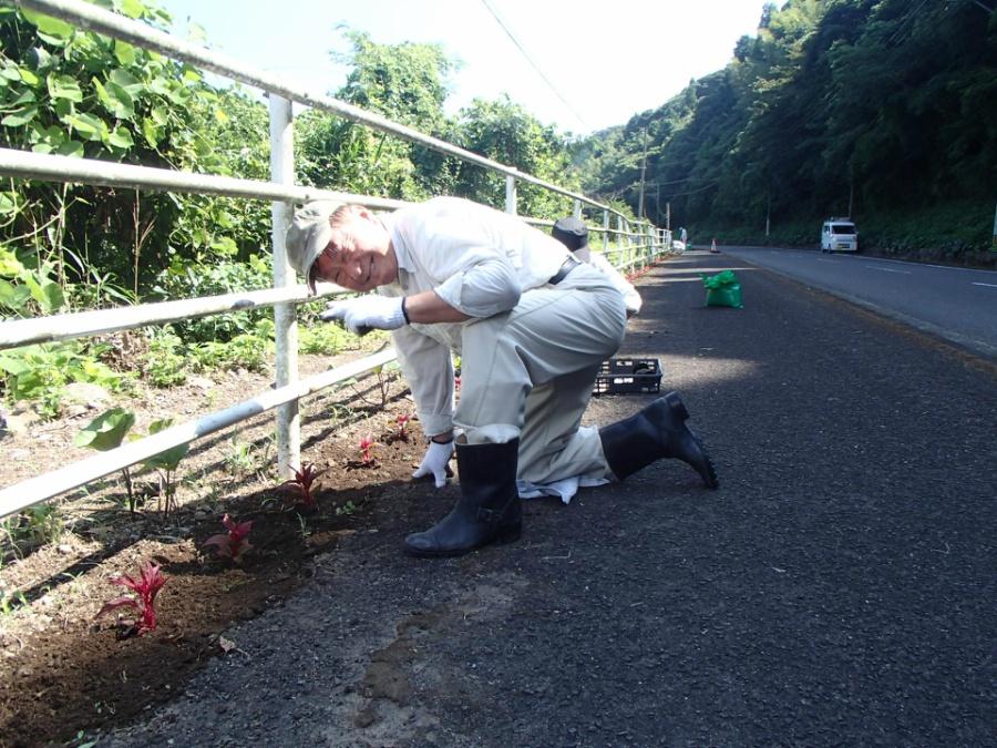 2018植栽ボランティア 2