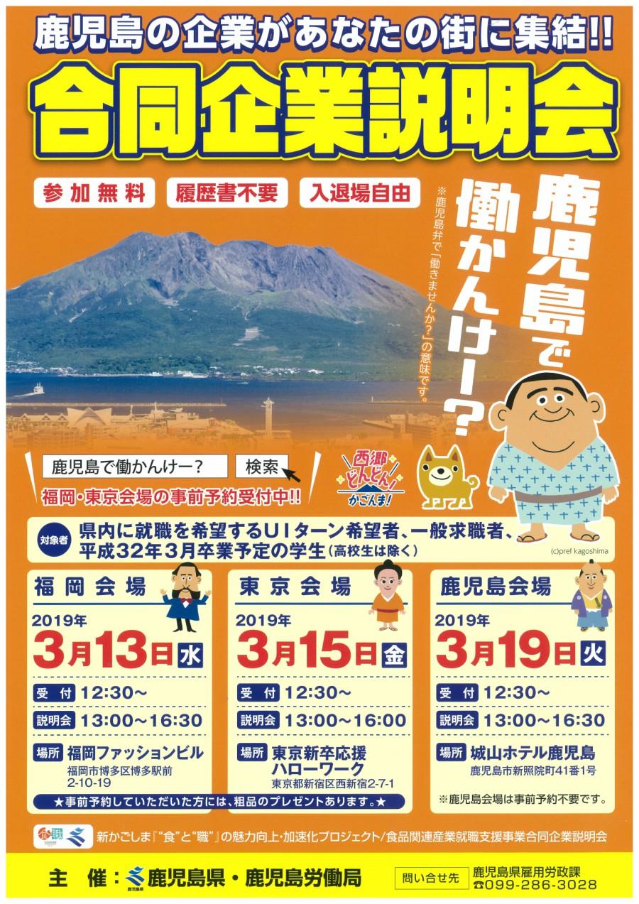 20190118合同企業説明会パンフ