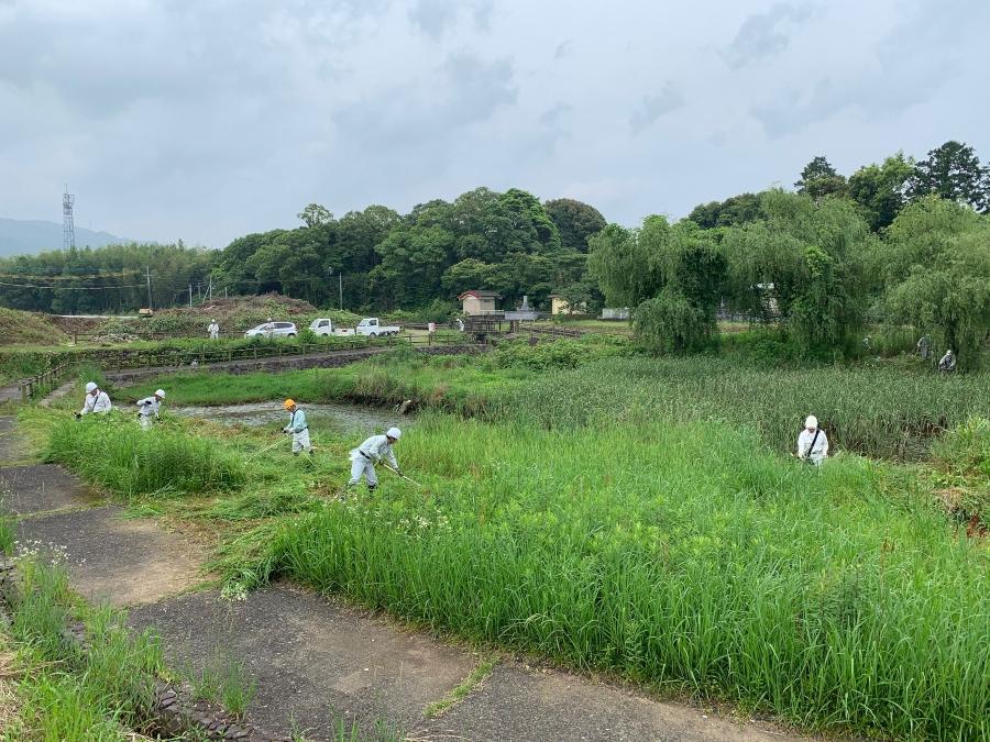 20200606 ため池清掃1