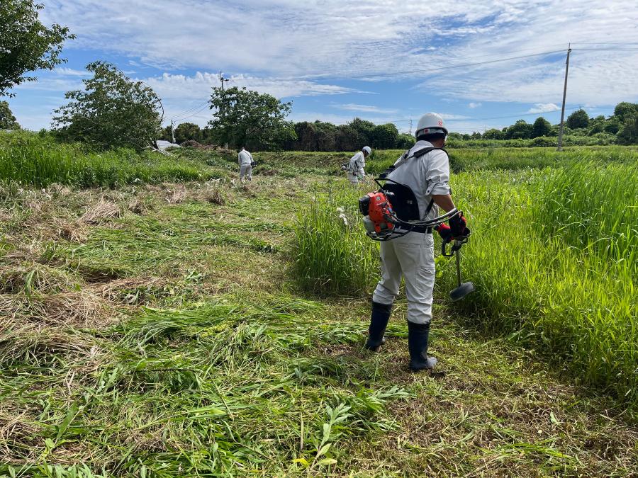 20250611 ボランティア清掃4