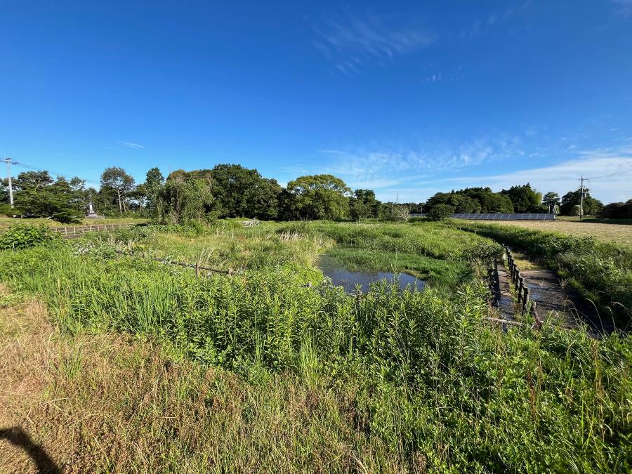 20250611 ボランティア清掃4