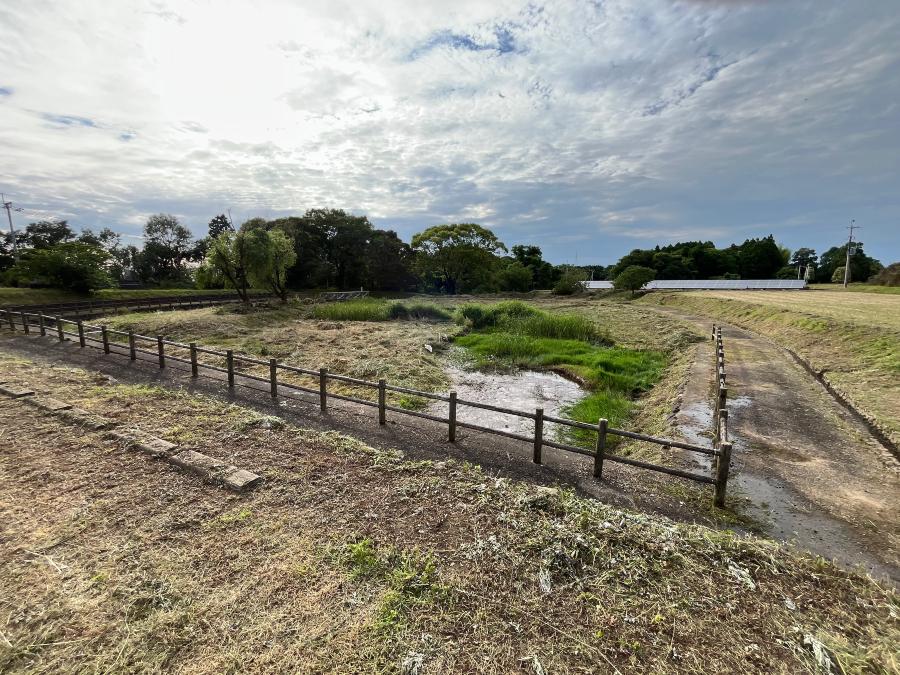 20250611 ボランティア清掃4