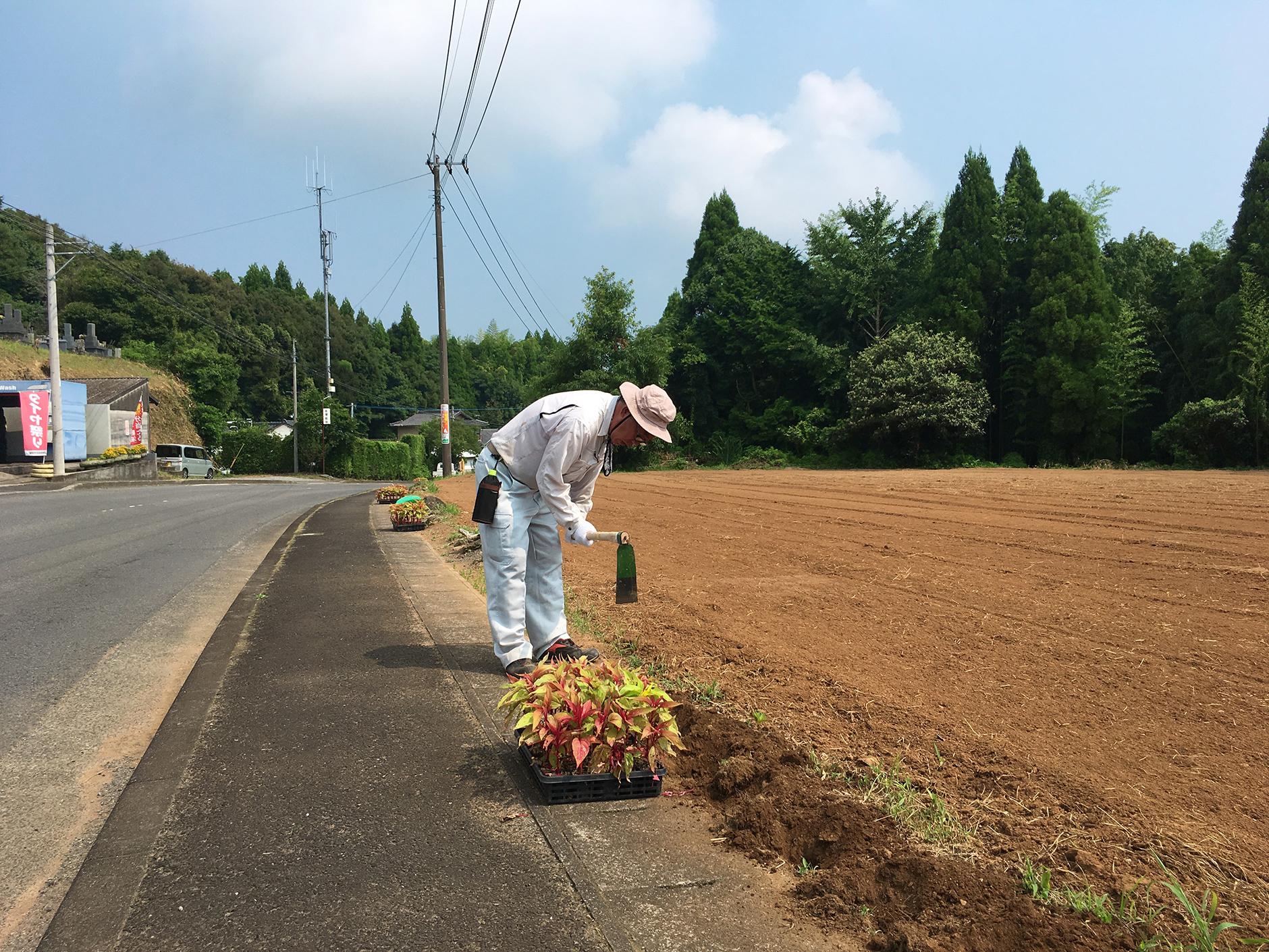 植栽ボランティア